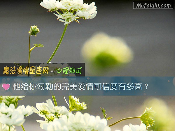 他给你勾勒的完美爱情可信度有多高？
