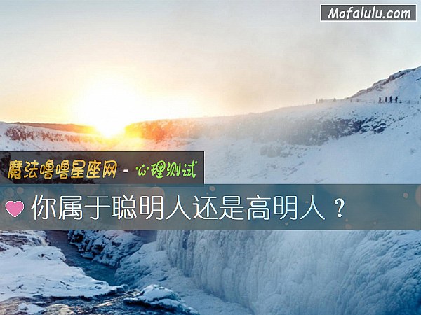 你属于聪明人还是高明人？