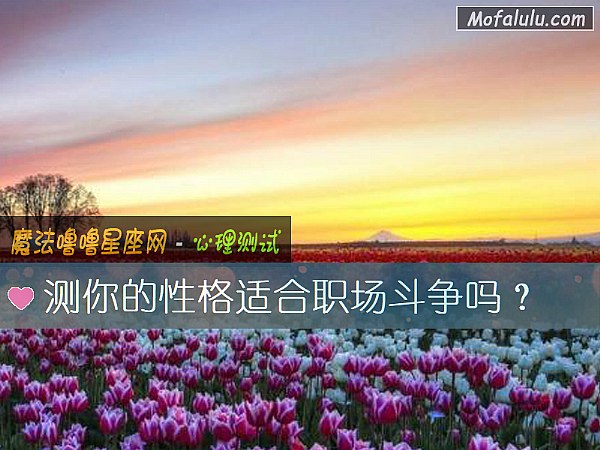 测你的性格适合职场斗争吗？