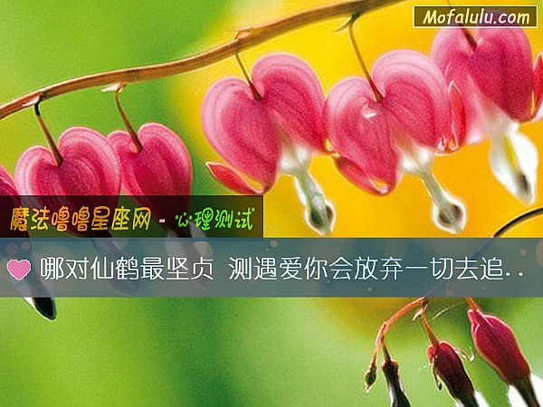 哪对仙鹤最坚贞 测遇爱你会放弃一切去追求吗？