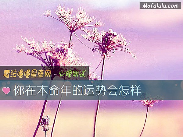 你在本命年的运势会怎样