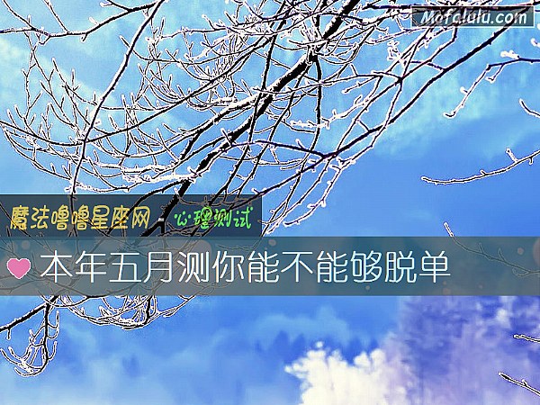 本年五月测你能不能够脱单