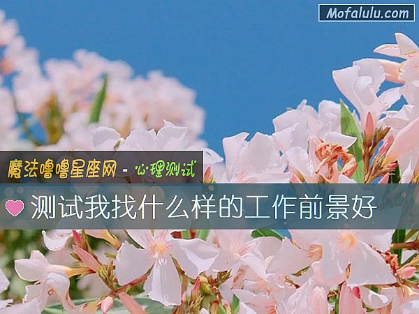 测试我找什么样的工作前景好