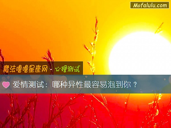爱情测试：哪种异性最容易泡到你？