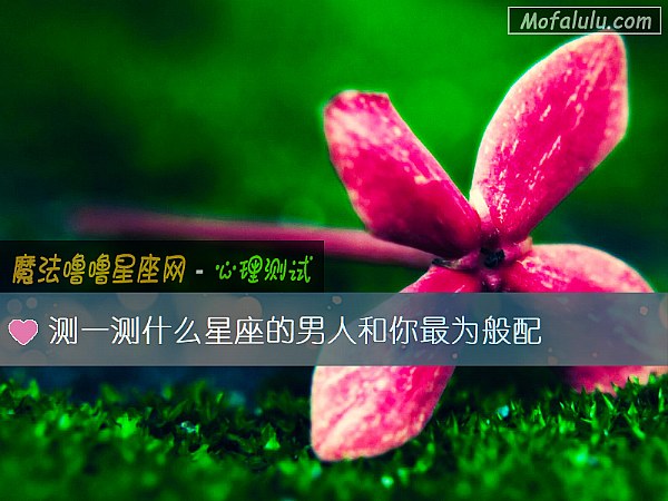 测一测什么星座的男人和你最为般配