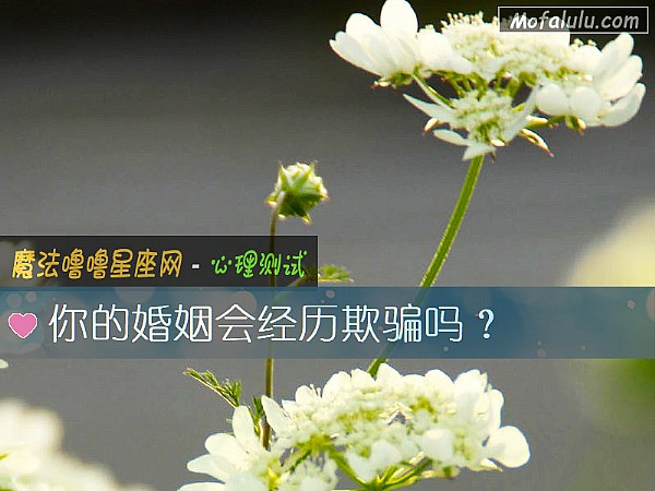 你的婚姻会经历欺骗吗？
