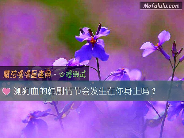 测狗血的韩剧情节会发生在你身上吗？