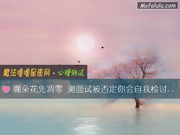 哪朵花先凋零 测面试被否定你会自我检讨吗? 哪朵花先凋零 测面试被否定你会自我检讨吗?