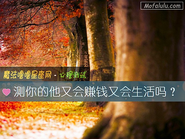 测你的他又会赚钱又会生活吗？