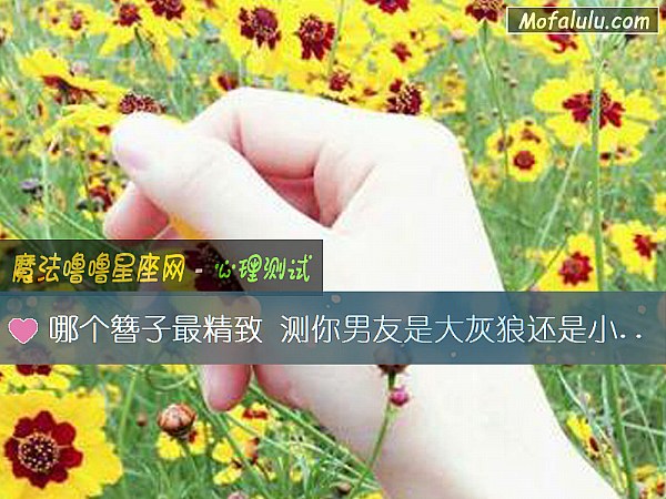 哪个簪子最精致 测你男友是大灰狼还是小绵羊