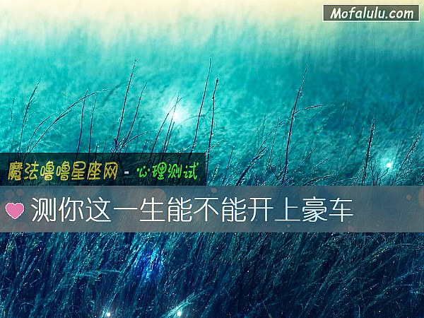 测你这一生能不能开上豪车
