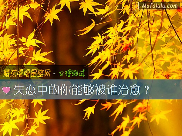 失恋中的你能够被谁治愈？