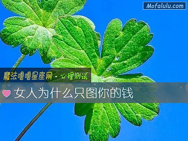 女人为什么只图你的钱