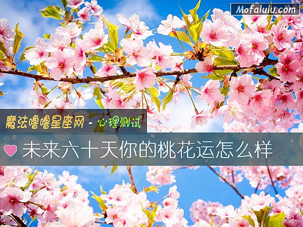 未来六十天你的桃花运怎么样