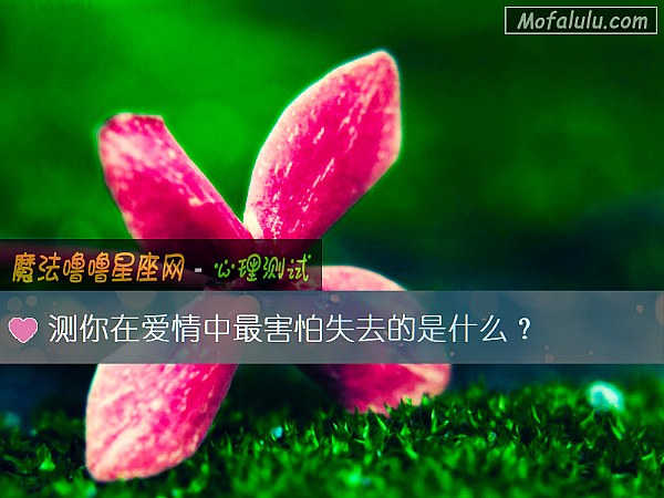 测你在爱情中最害怕失去的是什么? 测你在爱情中最害怕失去的是什么?