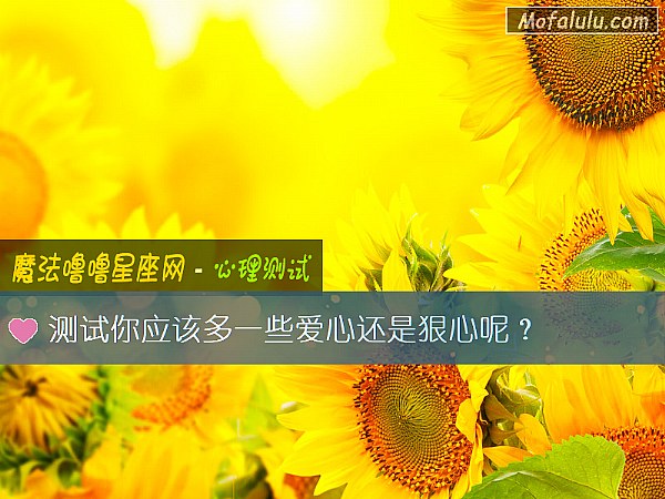 测试你应该多一些爱心还是狠心呢？