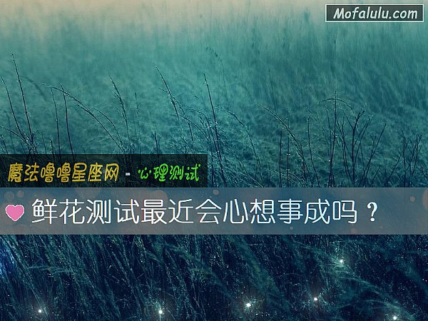 鲜花测试最近会心想事成吗？