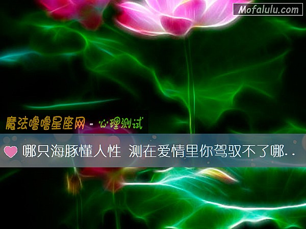 哪只海豚懂人性 测在爱情里你驾驭不了哪种人