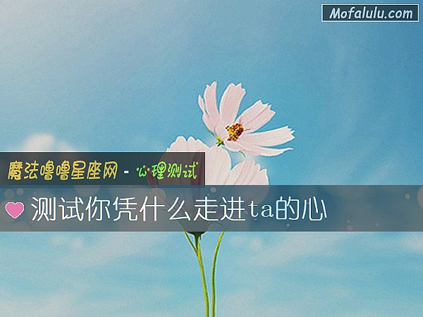 测试你凭什么走进ta的心