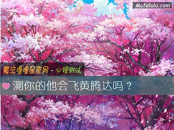 测你的他会飞黄腾达吗？