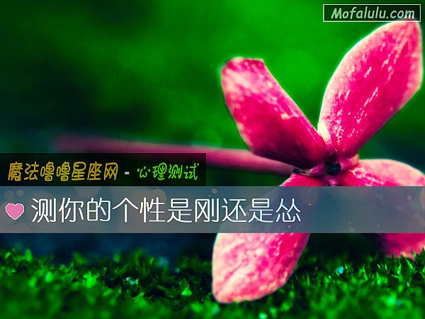 测你的个性是刚还是怂