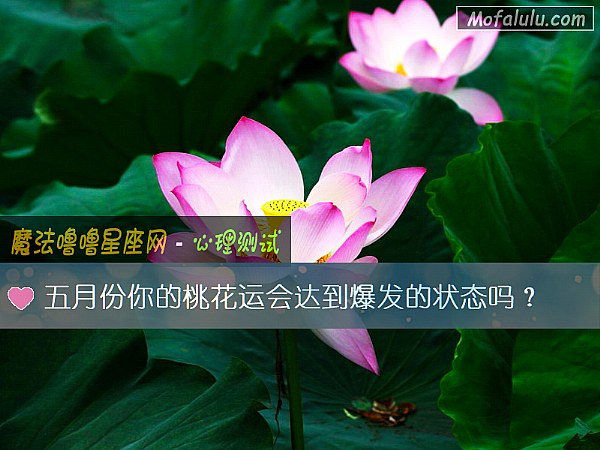 五月份你的桃花运会达到爆发的状态吗？