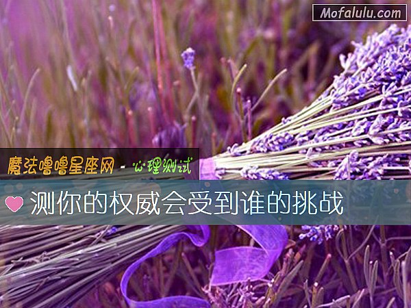 测你的权威会受到谁的挑战