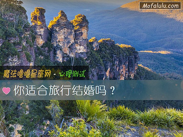 你适合旅行结婚吗？