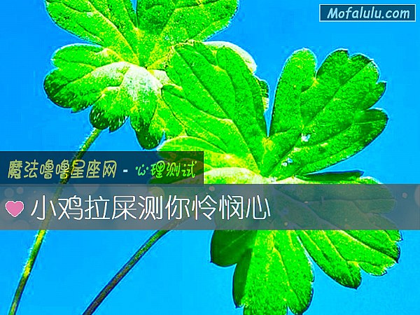 小鸡拉屎测你怜悯心