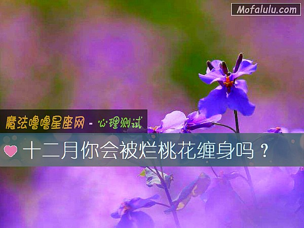 十二月你会被烂桃花缠身吗？