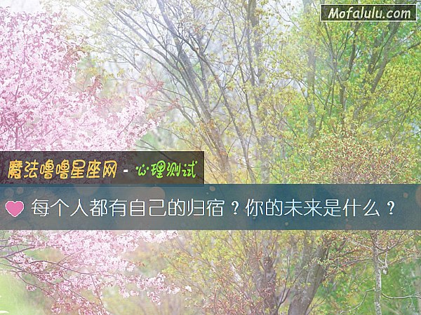每个人都有自己的归宿？你的未来是什么？
