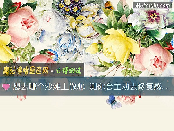想去哪个沙滩上散心 测你会主动去修复感情吗？