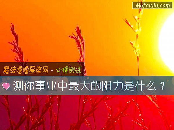 测你事业中最大的阻力是什么？