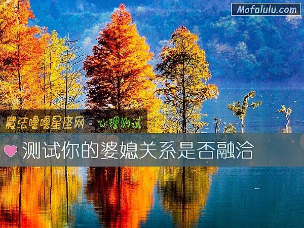 测试你的婆媳关系是否融洽