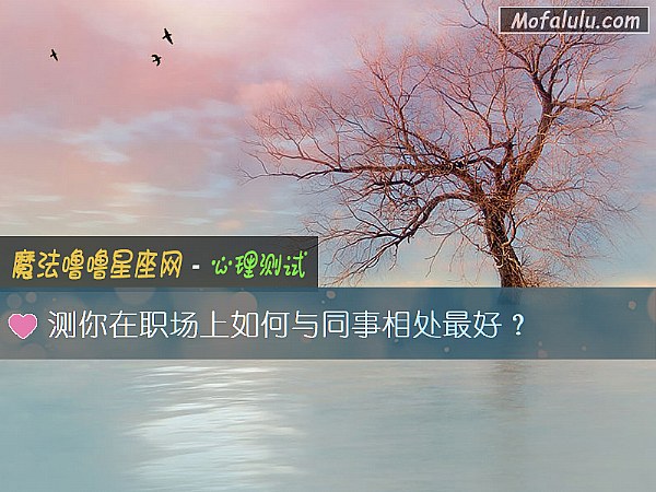 测你在职场上如何与同事相处最好？