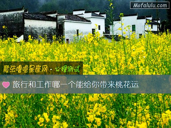 旅行和工作哪一个能给你带来桃花运