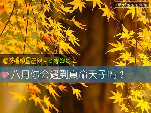 八月你会遇到真命天子吗？