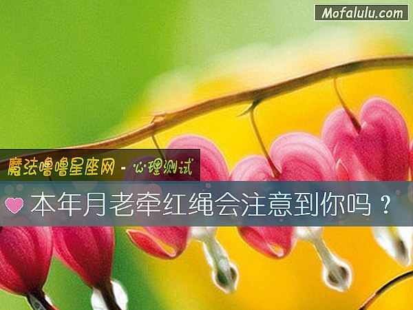 本年月老牵红绳会注意到你吗？