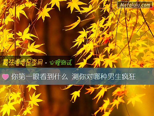 你第一眼看到什么 测你对哪种男生疯狂