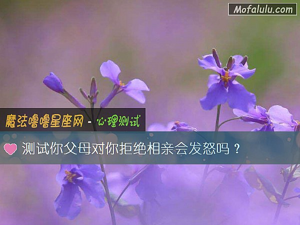 测试你父母对你拒绝相亲会发怒吗？