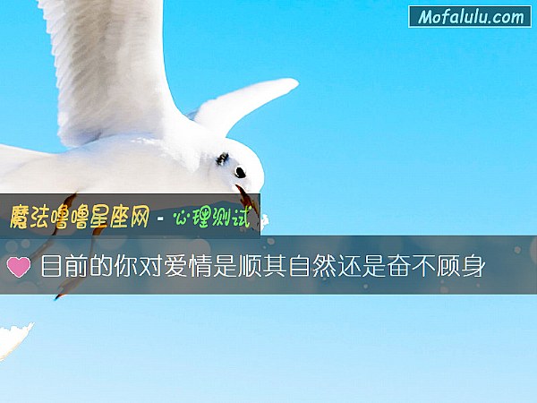目前的你对爱情是顺其自然还是奋不顾身