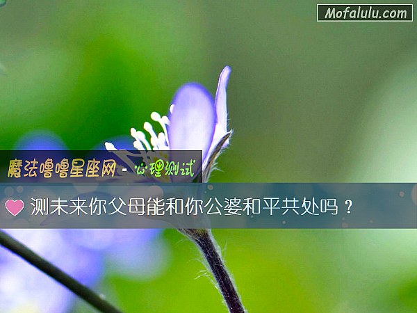 测未来你父母能和你公婆和平共处吗？