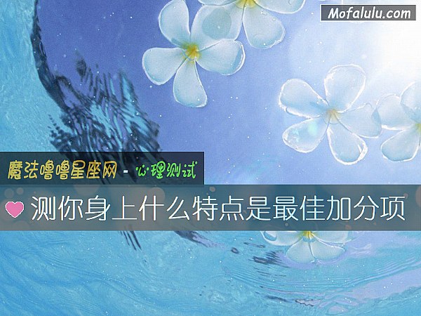 测你身上什么特点是最佳加分项