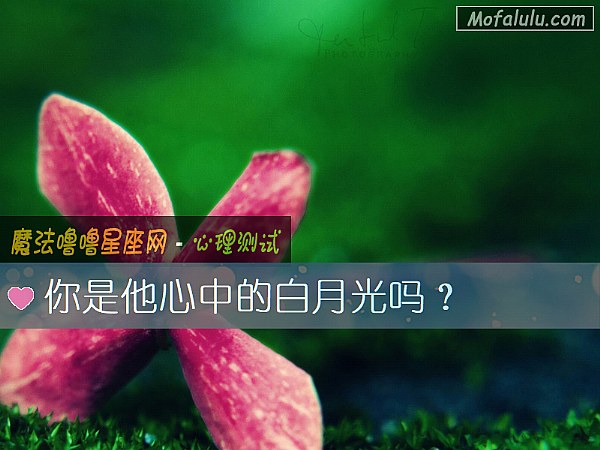 你是他心中的白月光吗？