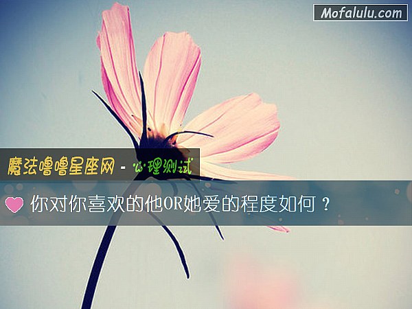 你对你喜欢的他OR她爱的程度如何？
