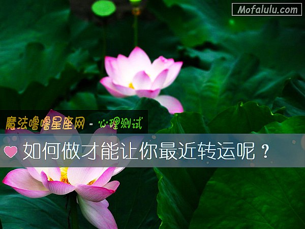 如何做才能让你最近转运呢? 如何做才能让你最近转运呢?