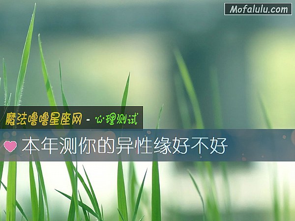 本年测你的异性缘好不好