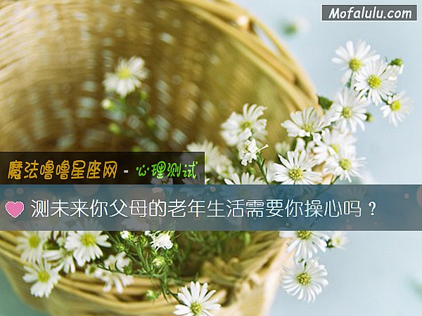 测未来你父母的老年生活需要你操心吗？