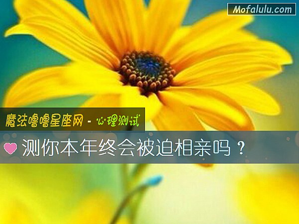 测你本年终会被迫相亲吗？