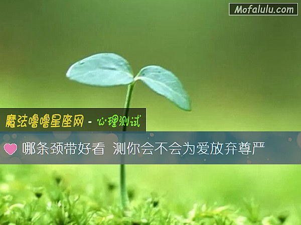 哪条颈带好看 测你会不会为爱放弃尊严 哪条颈带好看 测你会不会为爱放弃尊严
